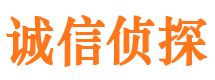 巴中市调查公司